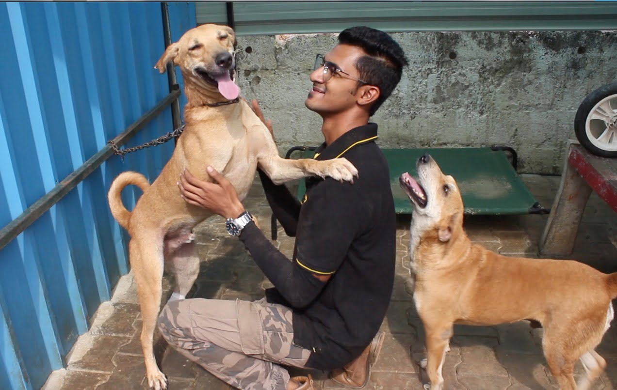 हज़ारो कुत्तो की देखभाल कर रहा यह शख्स , अब तक 1 करोड़ रुपये खर्च कर चुके है कुत्तों पर